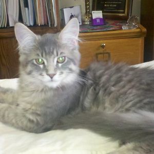 Meet your Posher, Dana